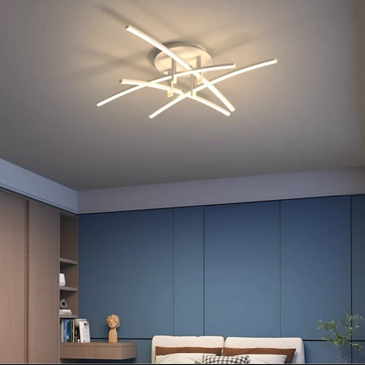 Stella Contemporanea